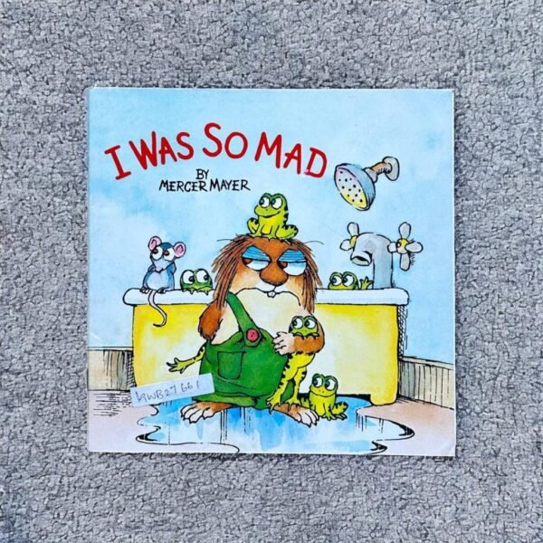 I Was So Mad_Mercer Mayer_KWB27661