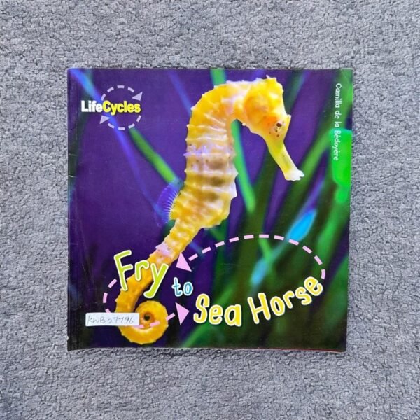 Life Cycles_Fry To Sea Horse_Camilla_KWB27796