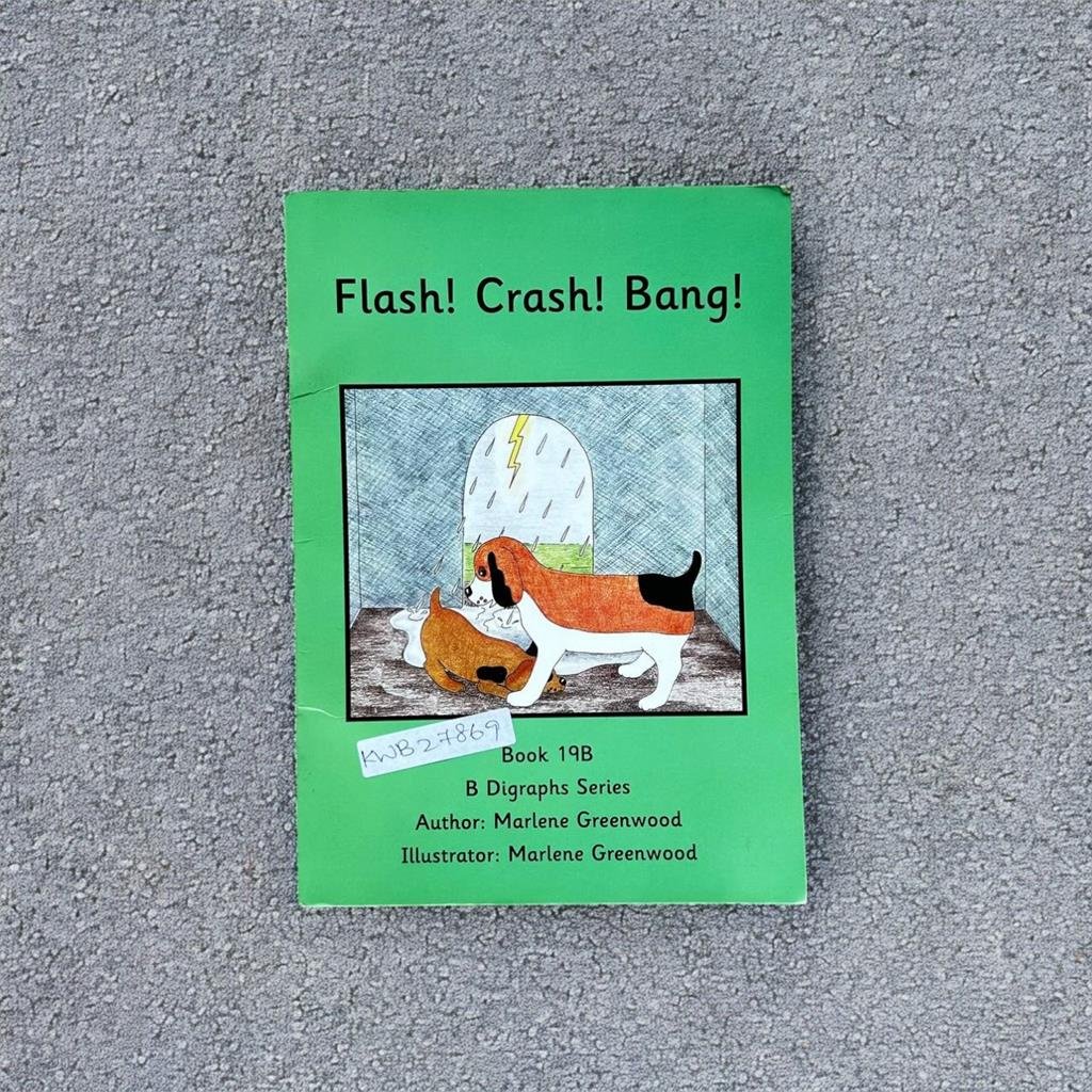 Pocket Size_Flash! Crash! Bang!_Marlene Greenwood_KWB27869