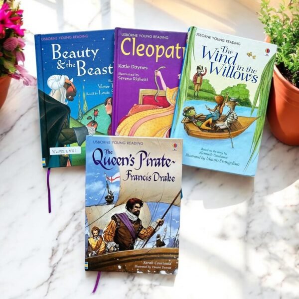 Usborne Young Reading_Set Of 4 Books_Usborne_KWB28561