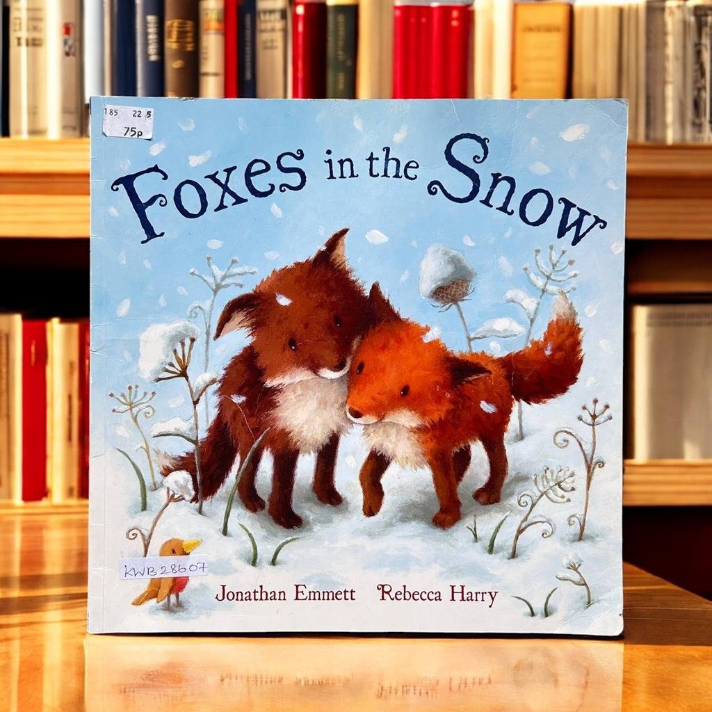Foxes In The Snow_Jonathan Emmett_KWB28607