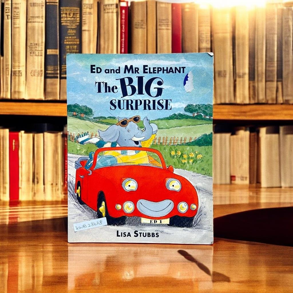 Ed And Mr Elephant The Big Surprise_Lisa Stubbs_KWB28638
