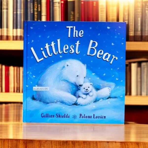 The Littlest Bear_Gillian Shields _KWB28655