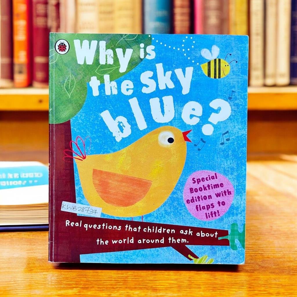 Why Is The Sky Blue?_Flap Book_Geraldine Taylor_KWB28737