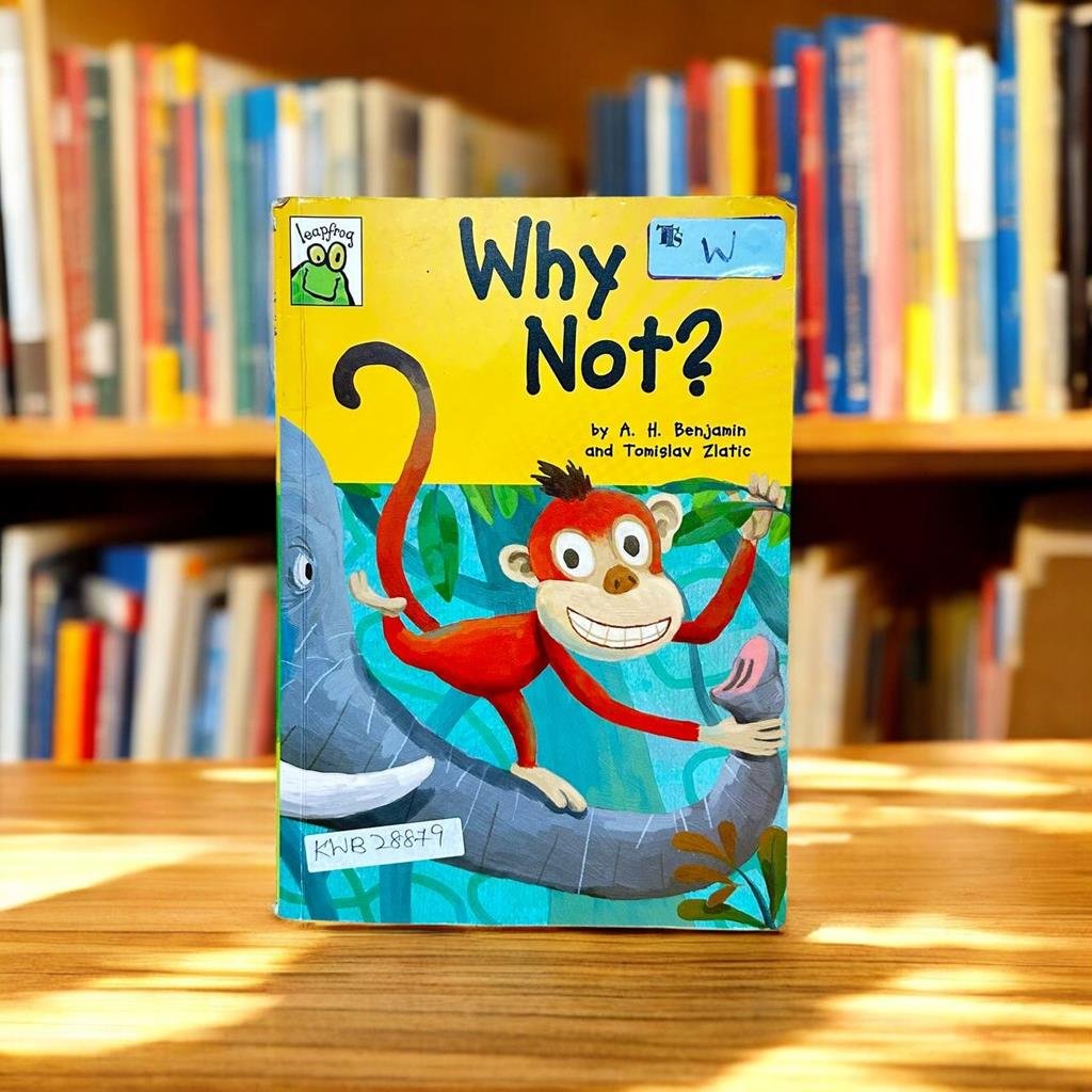 Leap Frog_Why Not?_Used_A.H.Benjamin_KWB28879