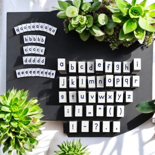 Montessori Alphabet Tiles Combo - Image 5