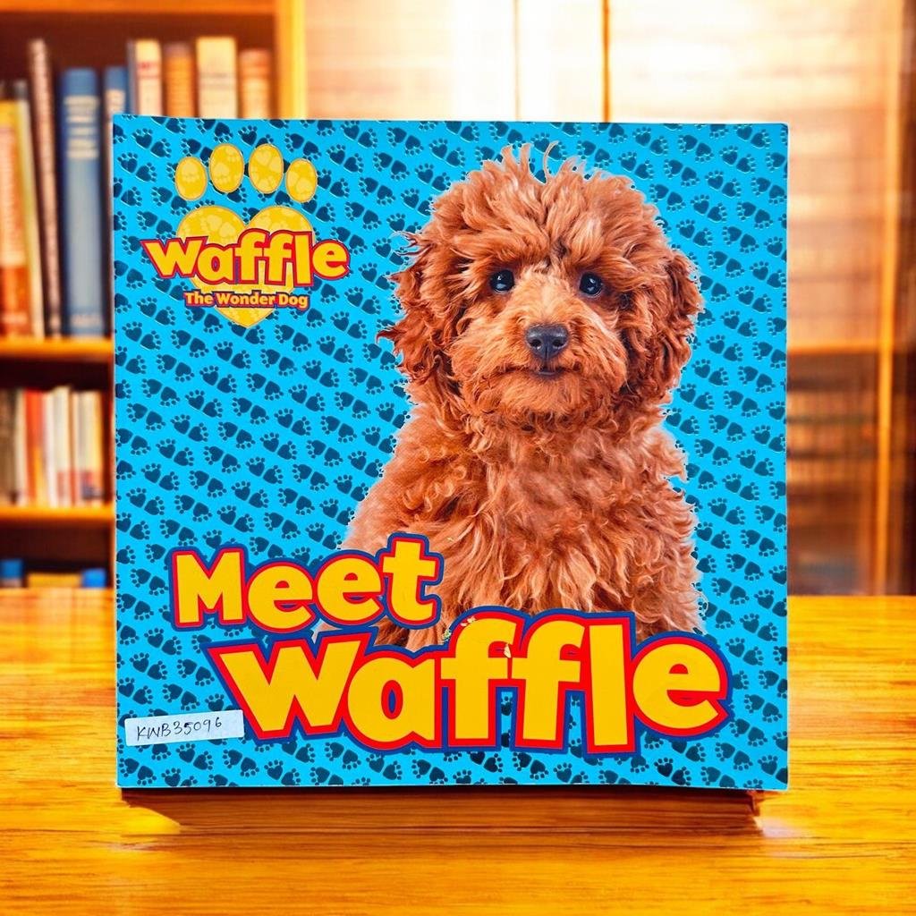 Waffle The Wonder Dog Meet Waffle_Scholastic_KWB35096