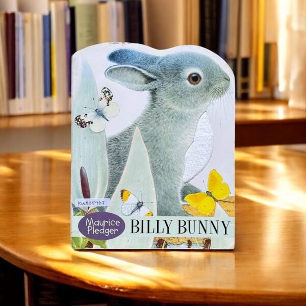 Billy Bunny_Maurice Pledger_Touch And Feel_Templar_KWB35967