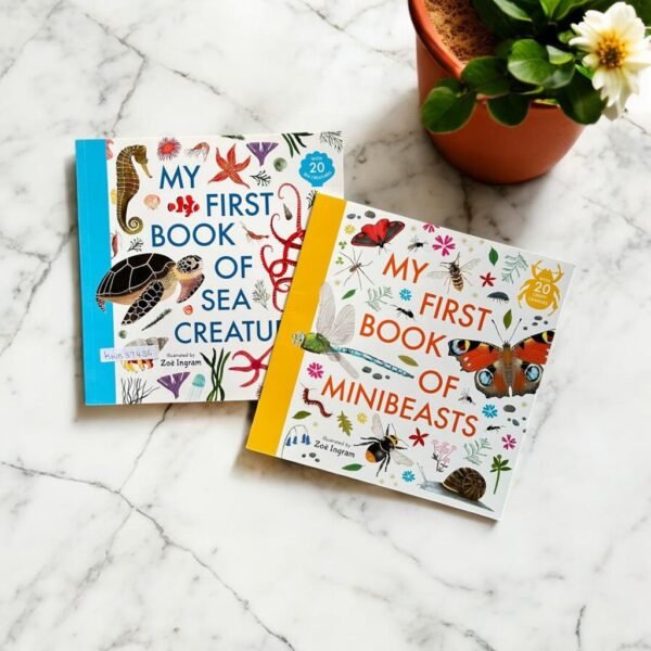 My First Book_Set Of 2 Books_Zoe Ingram_KWB37436