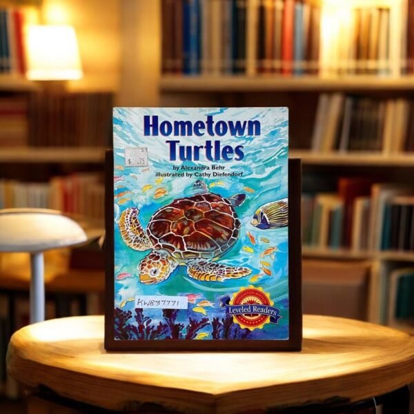 Hometown Turtles_Alexandra Behr_KWB37771