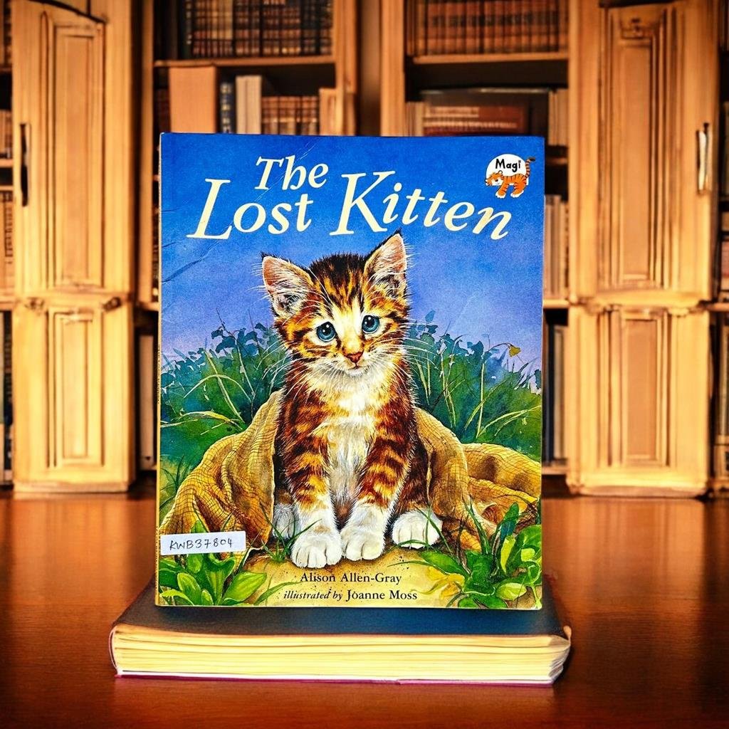 The Lost Kitten_Alison Allen Gray_KWB37804