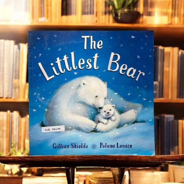 The Littlest  Bear_Gillian Shields_KWB38498