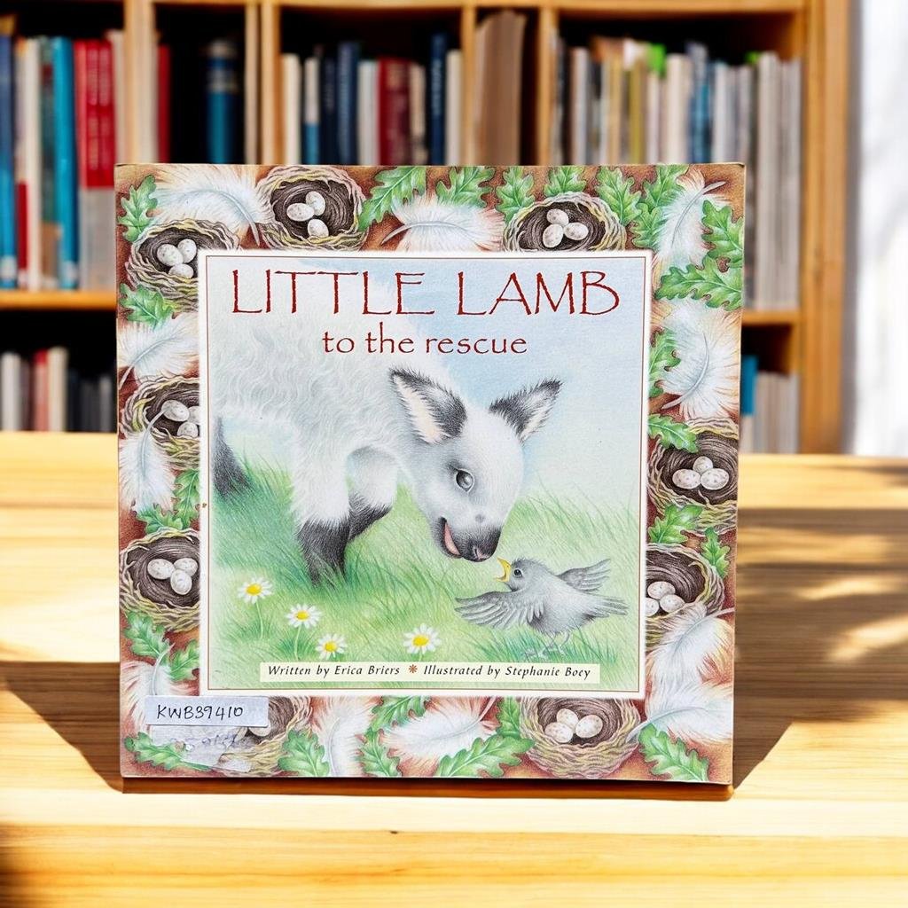 Little Lamb To The Rescue_Erica Briers_KWB39410