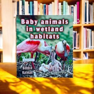 Baby Animals In Wetland Habitats_Bobbie Kalman_KWB39761