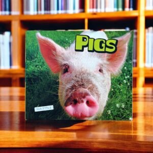 Pigs_Raintree_KWB39943