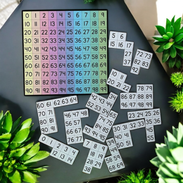 1-100 Number Puzzle