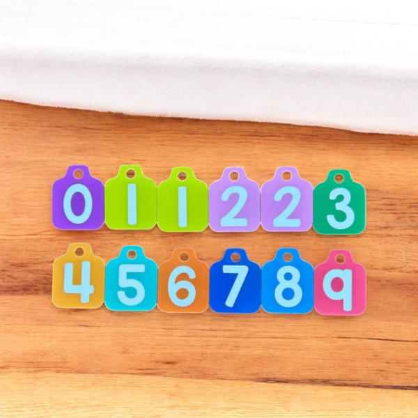 My First Calendar - Image 5