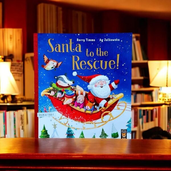 Santa To The Rescue!_Barry Timms_KWB41381