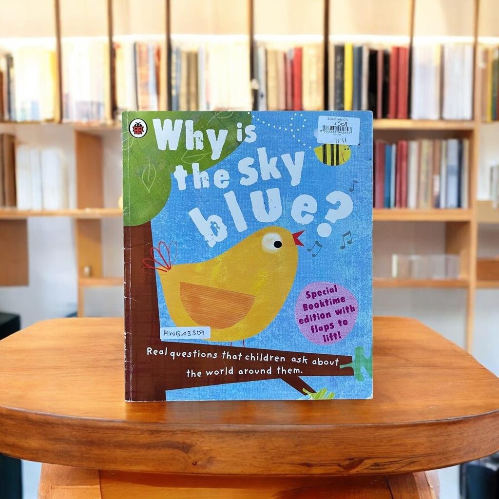 Why Is The Sky Blue?_Flap_Amy Schimler_KWB43309