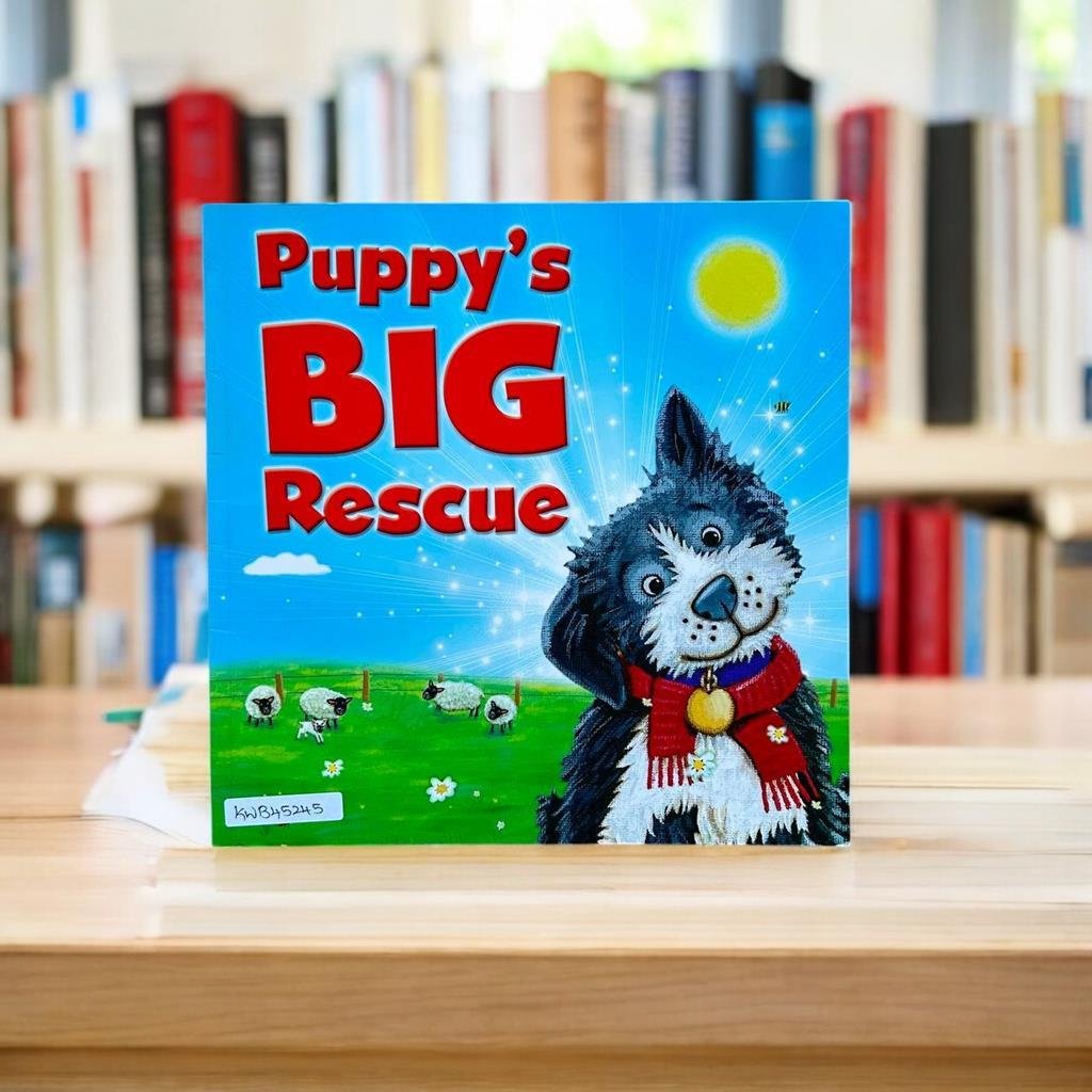 Igloo Books_Puppy's Big Rescue_Igloo Books_KWB45245