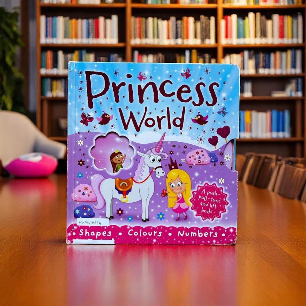 Princess World_Slide Book_Igloo Books _KWB46694