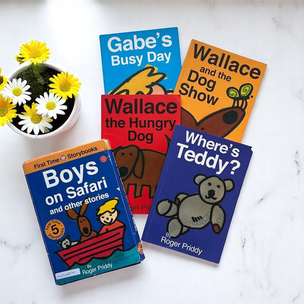 First Time Story Books_Boys On Safari And Other Stories_Set Of 4/5 Books_Box Set_Roger Priddy_KWB46895