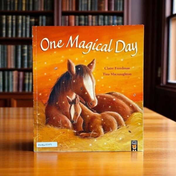 Little Tiger Press_One Magical Day_Claire Freedman_KWB47279