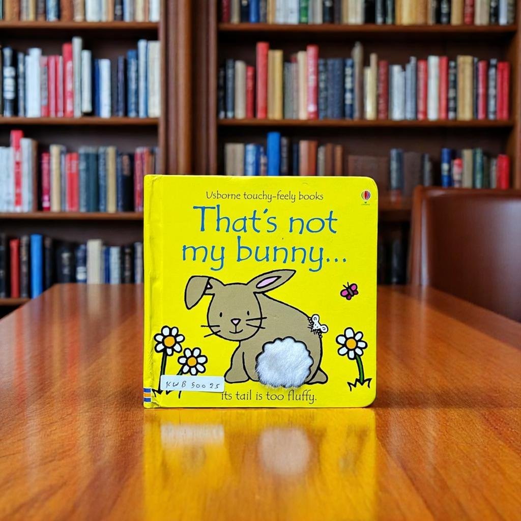 Usborne Touchy Feely Books_That's Not My Bunny_Usborne _KWB50025