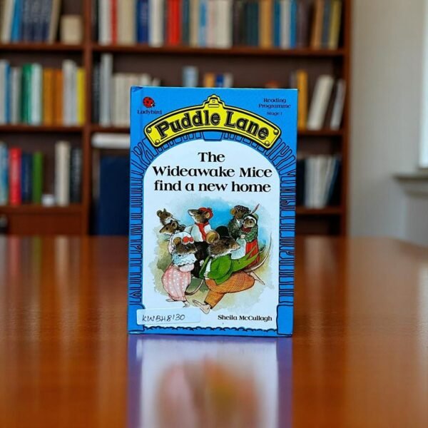 Pocket Friendly_The Wideawake Mice Find A New Home_Puddle Lane_Ladybird_KWB48130