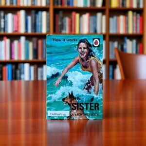 Pocket Friendly_How It Works'_The Sister_Ladybird_KWB48166