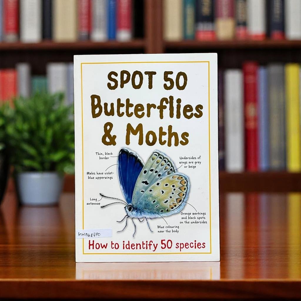 Spot 50 Butterfies & Moths_Miles Kelly_KWB48670