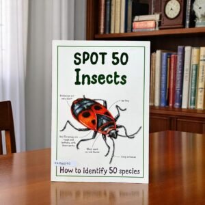 Spot 50 Insects_Miles Kelly_KWB48672