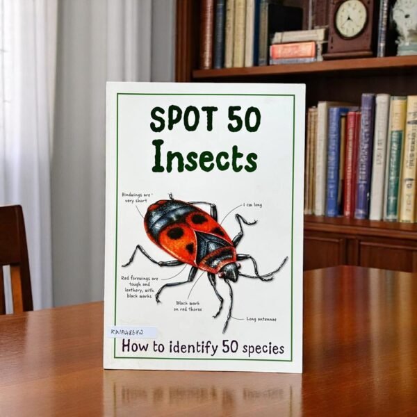 Spot 50 Insects_Miles Kelly_KWB48672