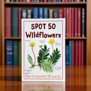 Spot 50 Wildflowers_Miles Kelly_KWB48673