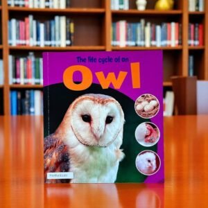 The Life Cycle Of An Owl_Ruth Thomson_KWB48680
