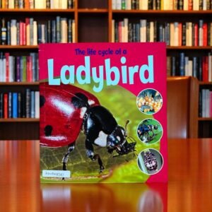 The Life Cycle Of A Ladybird_Ruth Thomson_KWB48681