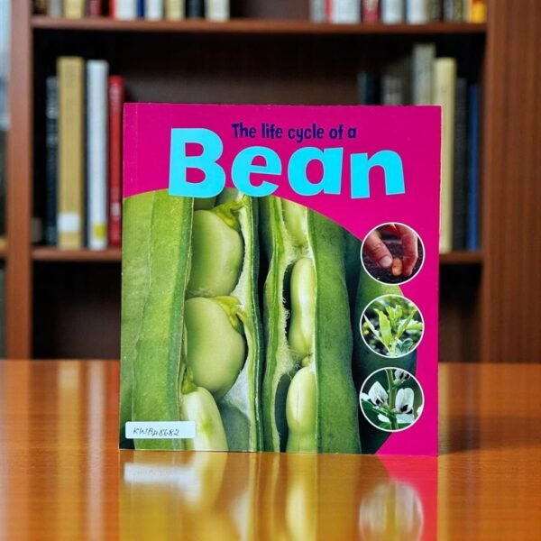 The Life Cycle Of A Bean_Ruth Thomson_KWB48682