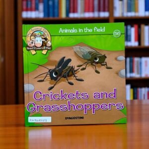 Crickets And Grasshoppers_Animals In The Field_Deagostini_KWB48783