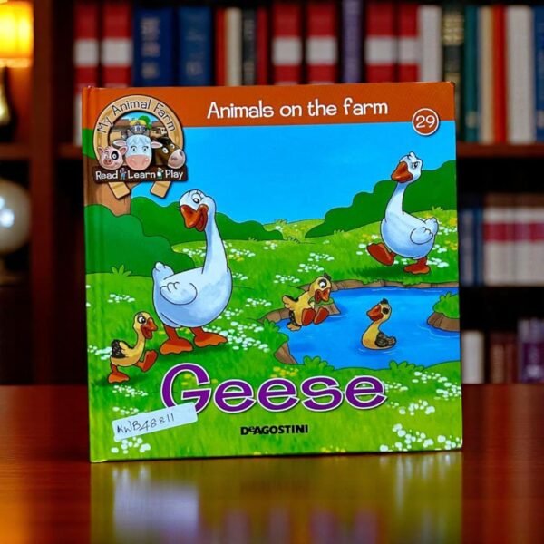 Geese_Adventures On The Farm_Deagostini_KWB48811