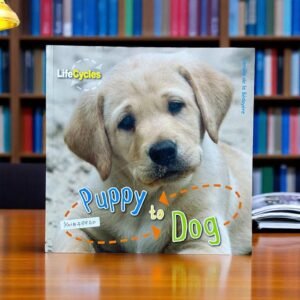 Puppy To Dog_Lifecycles_QED Publishing_KWB48860