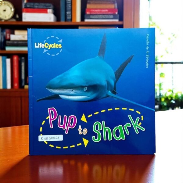 Pup To Shark_Lifecycles_QED Publishing_KWB48861