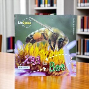 Egg To Bee_Lifecycles_QED Publishing_KWB48863
