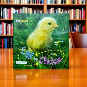 Egg To Chicken_Lifecycles_QED Publishing_KWB48864