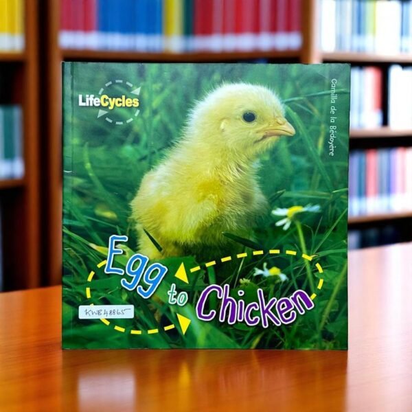 Egg To Chicken_Lifecycles_QED Publishing_KWB48865