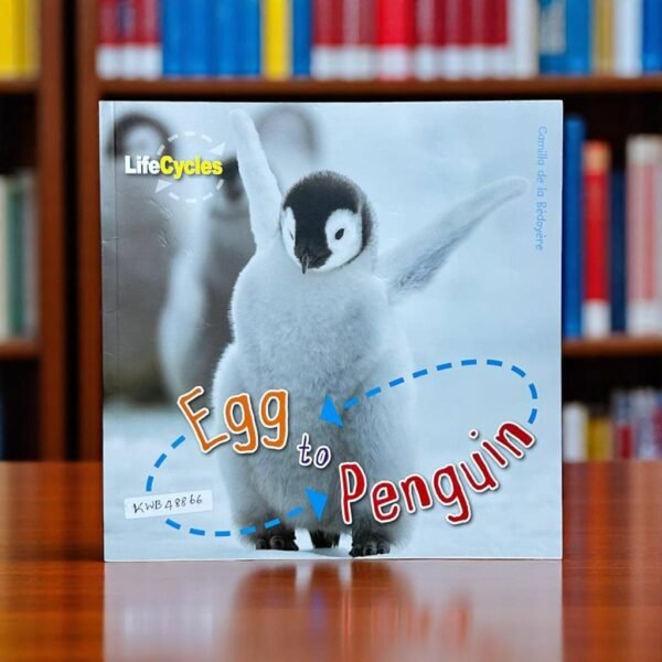 Egg To Penguin_Lifecycles_QED Publishing_KWB48866
