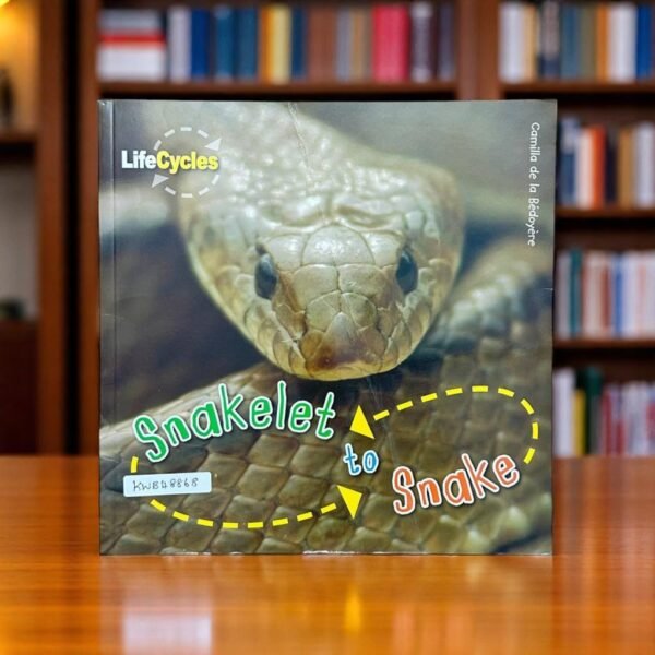 Snakelet To Snake_Lifecycles_QED Publishing_KWB48868