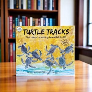 Turtle Tracks_Sue Trew_KWB49942