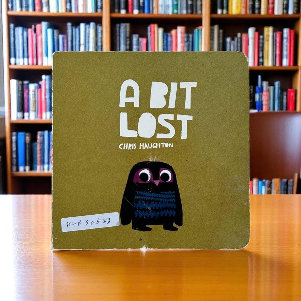 A Bit Lost_Chris Haughton _KWB50643