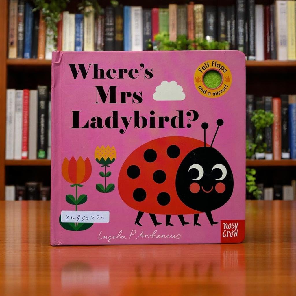 Where's Mrs Ladybird_Felt Flap And A Mirror !_Nosy Crow _KWB50770