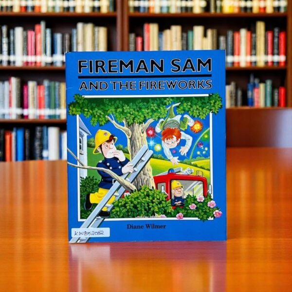Fireman Sam And The Fireworks_Diane Wilmer_KWB52082